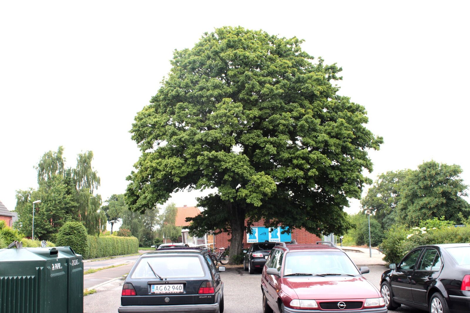 Feldahorn – Ganzbild